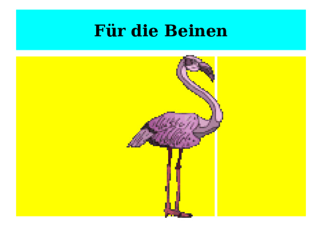 Für die Beinen 