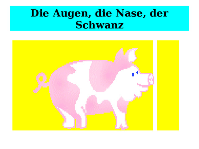  Die Augen, die Nase, der Schwanz   