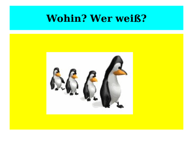 Wohin? Wer weiß? 