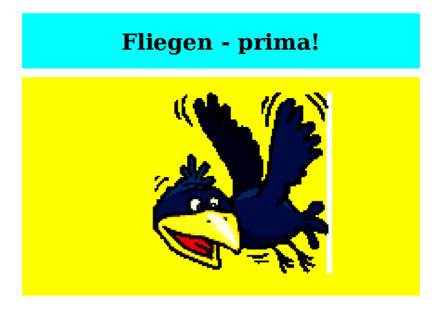 Fliegen - prima! 