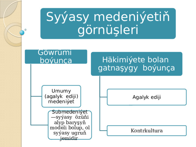 Syýasy medeniýetiň görnüşleri Göwrümi boýunça Häkimiýete bolan gatnaşygy boýunça Umumy (agalyk ediji) medeniýet Agalyk ediji Submedeniýet —syýasy özüňi alyp baryşyň modeli bolup, ol syýasy ugruň jemidir Kontrkultura 