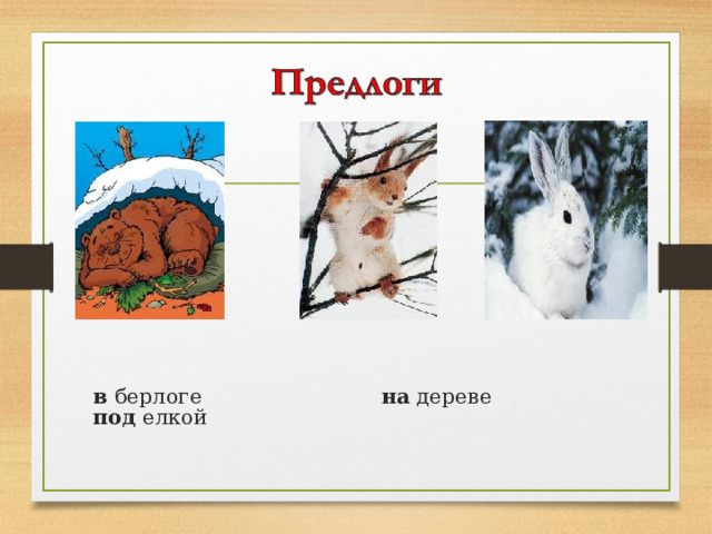       в берлоге на дереве под елкой 