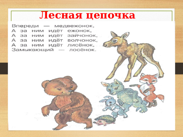 Лесная цепочка 