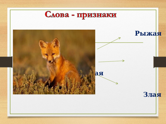  Рыжая    Хитрая   Злая 