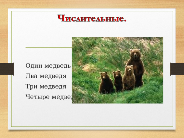 Один медведь Два медведя Три медведя Четыре медведя 