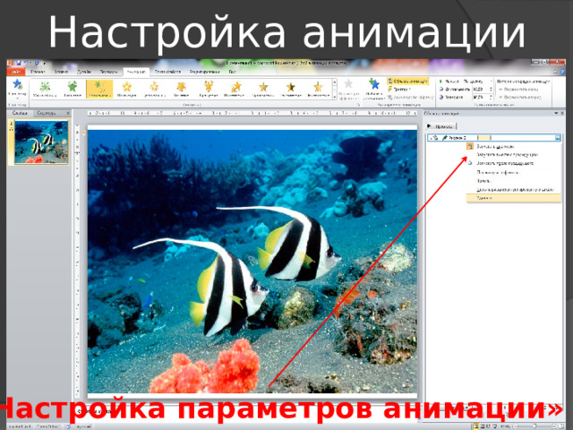 Настройка анимации «Настройка параметров анимации» 