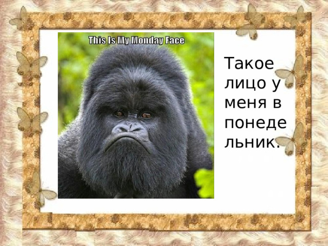 Такое лицо у меня в понедельник. 