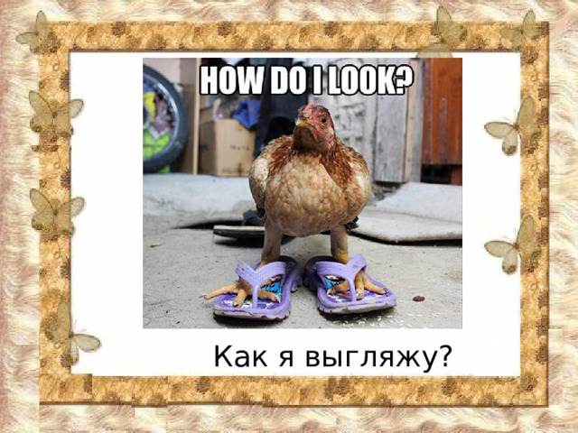 Как я выгляжу? 