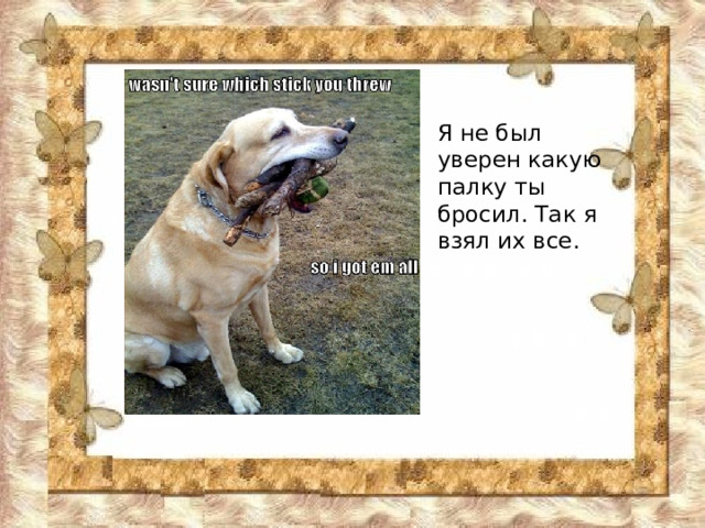 Я не был уверен какую палку ты бросил. Так я взял их все. 
