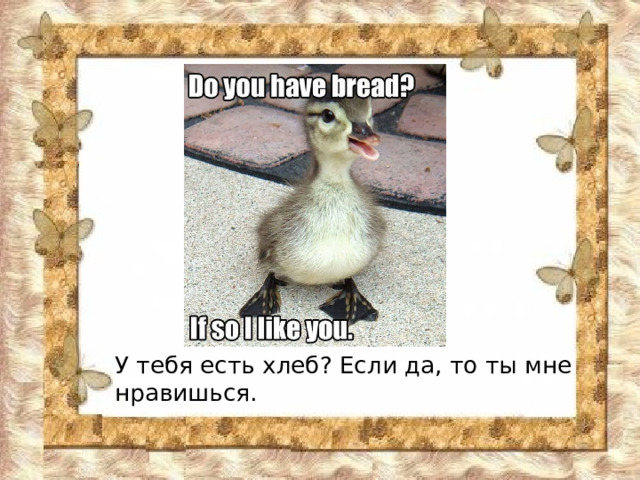У тебя есть хлеб? Если да, то ты мне нравишься. 