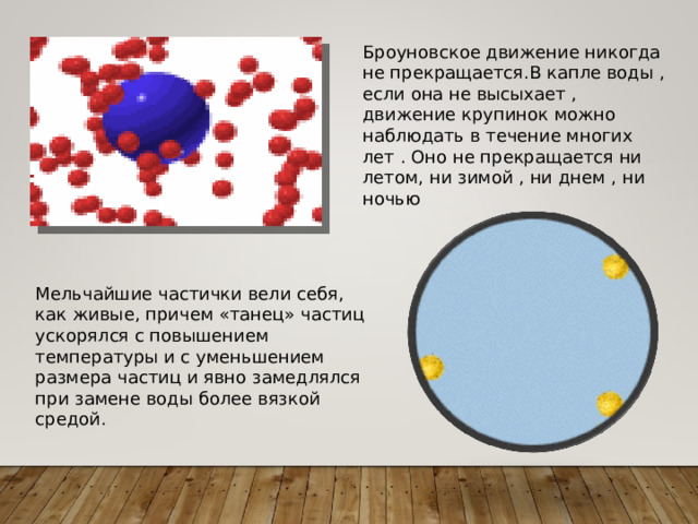 Броуновское движение никогда не прекращается.В капле воды , если она не высыхает , движение крупинок можно наблюдать в течение многих лет . Оно не прекращается ни летом, ни зимой , ни днем , ни ночью Мельчайшие частички вели себя, как живые, причем «танец» частиц ускорялся с повышением температуры и с уменьшением размера частиц и явно замедлялся при замене воды более вязкой средой. 