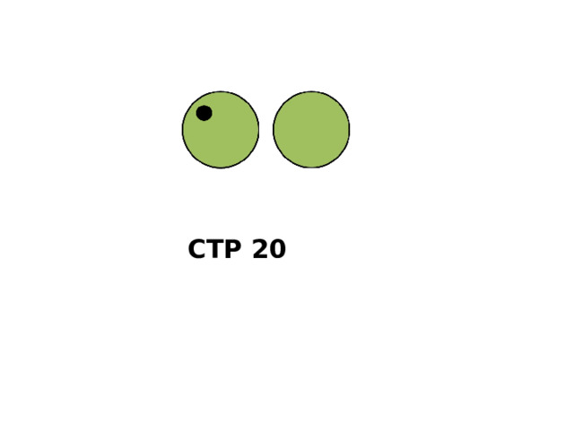 СТР 20 
