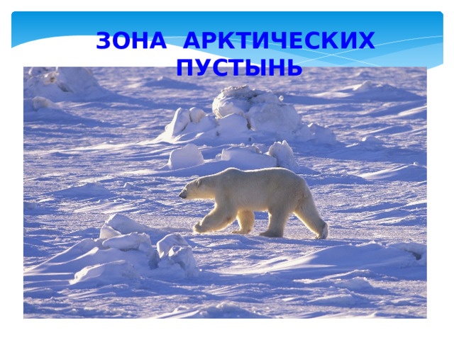 ЗОНА АРКТИЧЕСКИХ ПУСТЫНЬ 