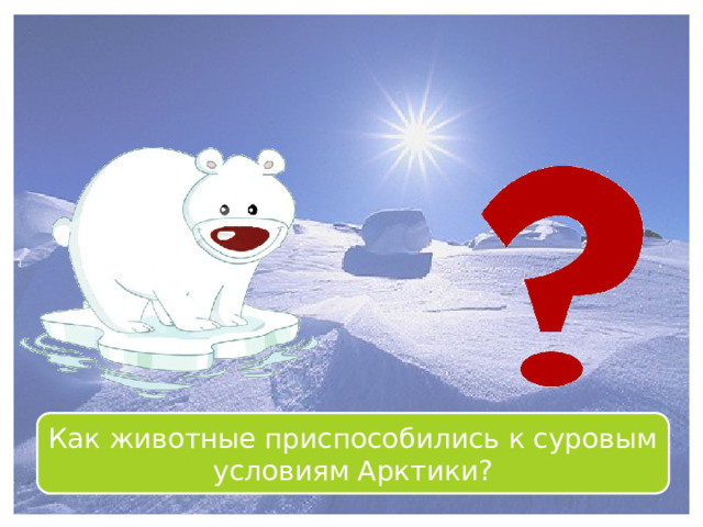 Подумай! Как животные приспособились к суровым условиям Арктики? 