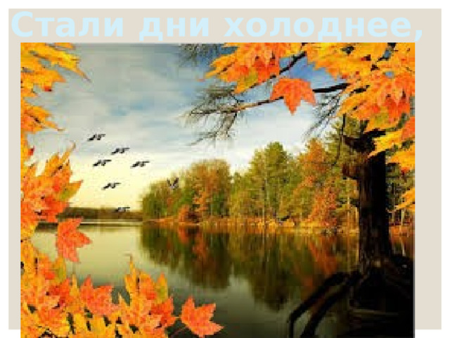 Стали дни холоднее, 