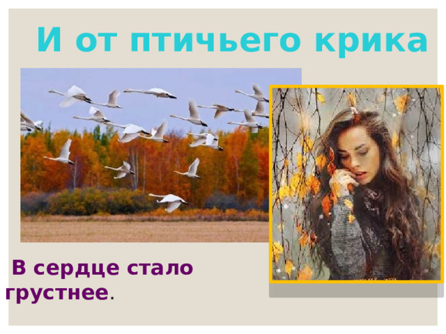 И от птичьего крика  В сердце стало грустнее . 