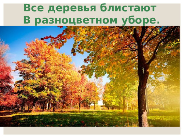 Все деревья блистают   В разноцветном уборе. 
