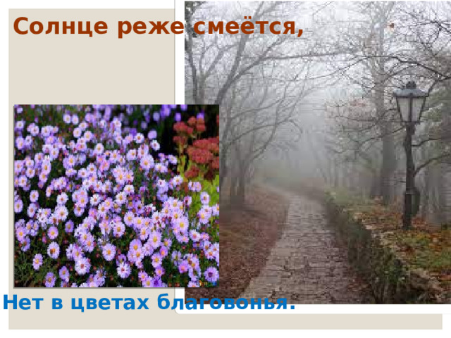 Солнце реже смеётся, Нет в цветах благовонья. 