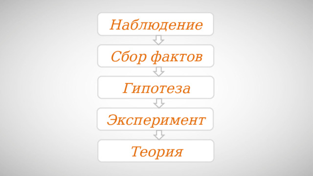 Наблюдение Сбор фактов Гипотеза Эксперимент Теория 