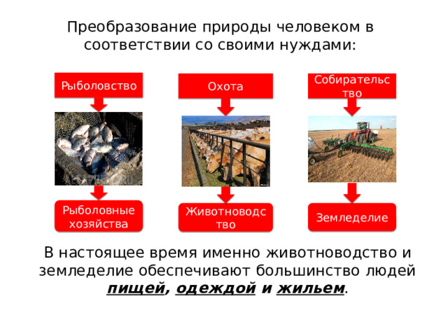 Преобразование природы человеком в соответствии со своими нуждами: Рыболовство Собирательство Охота Рыболовные  хозяйства Животноводство Земледелие В настоящее время именно животноводство и земледелие обеспечивают большинство людей пищей , одеждой и жильем . 