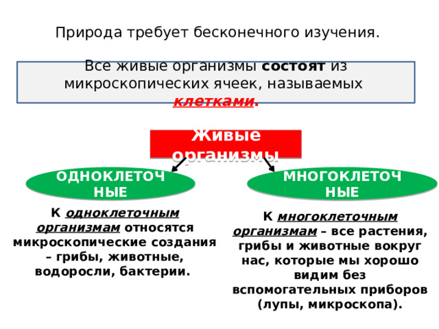 Природа требует бесконечного изучения. Все живые организмы состоят из микроскопических ячеек, называемых  клетками . Живые  организмы Многоклеточные Одноклеточные К многоклеточным  организмам – все растения, грибы и животные вокруг нас, которые мы хорошо видим без вспомогательных приборов (лупы, микроскопа). К одноклеточным  организмам относятся микроскопические создания – грибы, животные, водоросли, бактерии.   