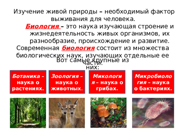 Изучение живой природы – необходимый фактор выживания для человека.  Биология – это наука изучающая строение и жизнедеятельность живых организмов, их разнообразие, происхождение и развитие.  Современная биология  состоит из множества биологических наук, изучающих отдельные ее части. Вот самые крупные из них:   Ботаника – наука о растениях.  Микология – наука о грибах. Зоология – наука о животных . Микробиология – наука о бактериях.   