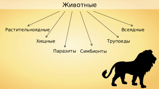 Животные Растительноядные Всеядные Хищные Трупоеды Паразиты Симбионты 