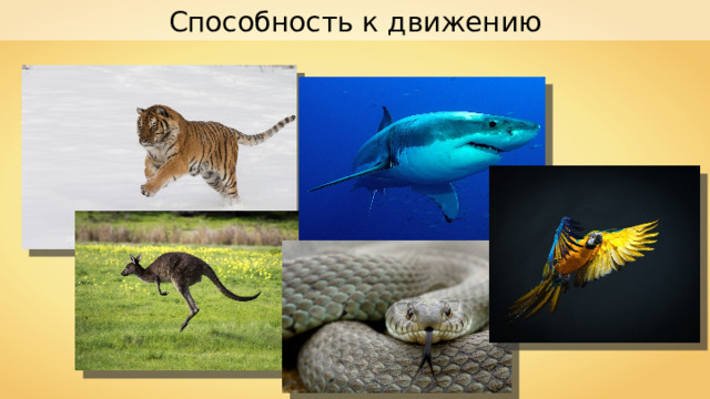 Способность к движению 