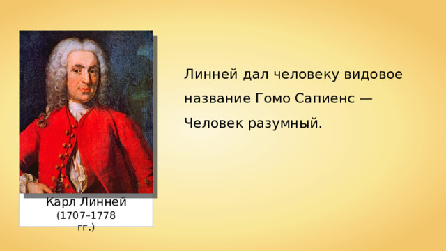 Линней дал человеку видовое название Гомо Сапиенс — Человек разумный. Карл Линней (1707–1778 гг.) 