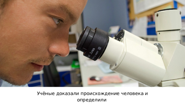 Учёные доказали происхождение человека и определили его место в систематике животного мира. 