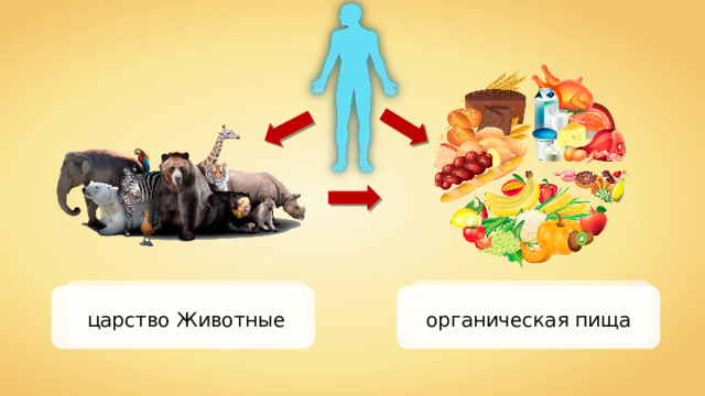 царство Животные органическая пища 