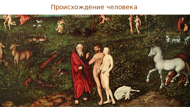 Происхождение человека 