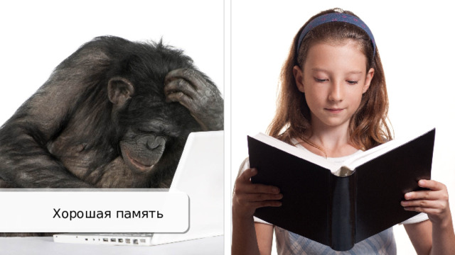 Хорошая память 