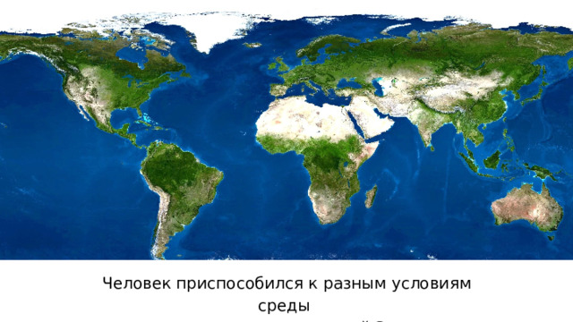 Человек приспособился к разным условиям среды и распространился по всей Земле. 