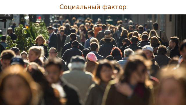 Социальный фактор 