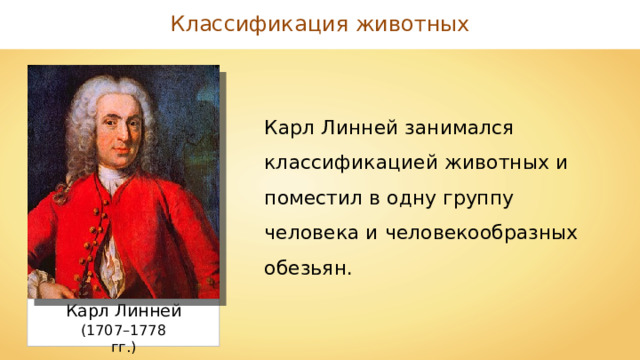 Классификация животных Карл Линней занимался классификацией животных и поместил в одну группу человека и человекообразных обезьян. Карл Линней (1707–1778 гг.) 