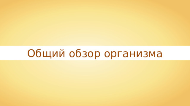 Общий обзор организма 