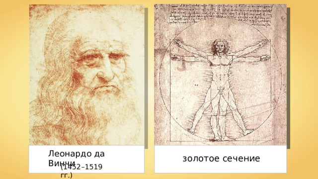 Леонардо да Винчи золотое сечение (1 4 52–1519  гг.) 
