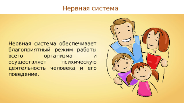 Нервная система Нервная система обеспечивает благоприятный режим работы всего организма и осуществляет психическую деятельность человека и его поведение. 