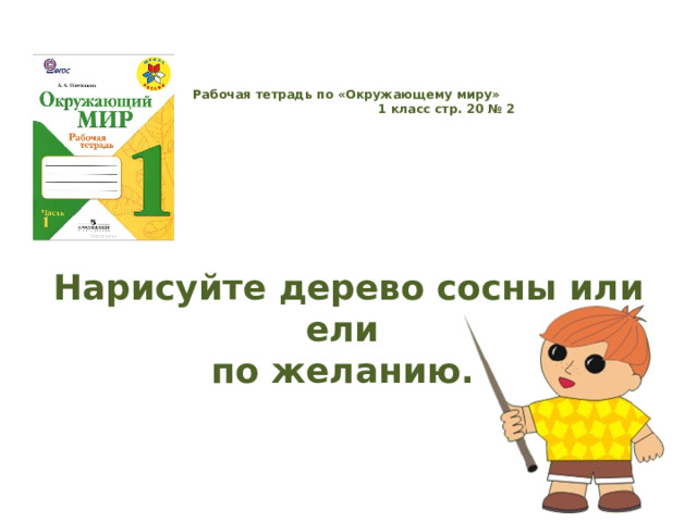 Рабочая тетрадь по «Окружающему миру»  1 класс стр. 20 № 2      Нарисуйте дерево сосны или ели  по желанию. 
