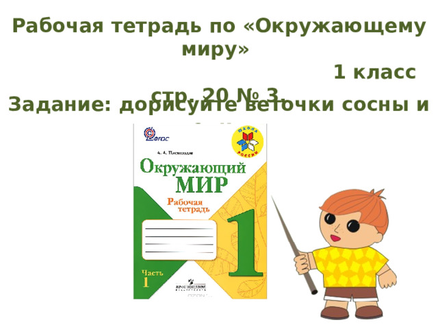 Рабочая тетрадь по «Окружающему миру»  1 класс стр. 20 № 3. Задание: дорисуйте веточки сосны и ели. 