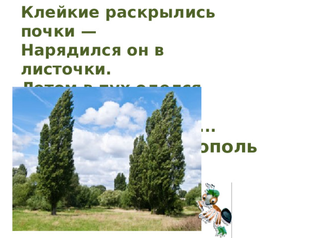 Клейкие раскрылись почки — Нарядился он в листочки. Летом в пух оделся щеголь. Догадались? — Это... тополь 
