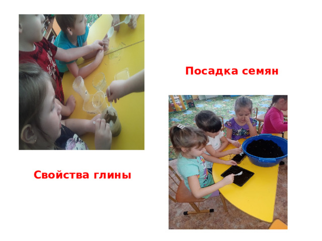 Посадка семян Свойства глины 