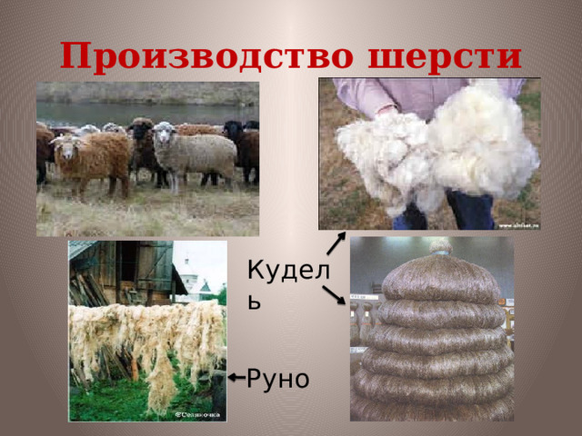 Производство шерсти Кудель Руно 