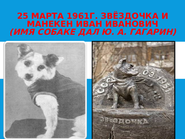 25 МАРТА 1961Г. ЗВЁЗДОЧКА И МАНЕКЕН ИВАН ИВАНОВИЧ  (ИМЯ СОБАКЕ ДАЛ Ю. А. ГАГАРИН) 