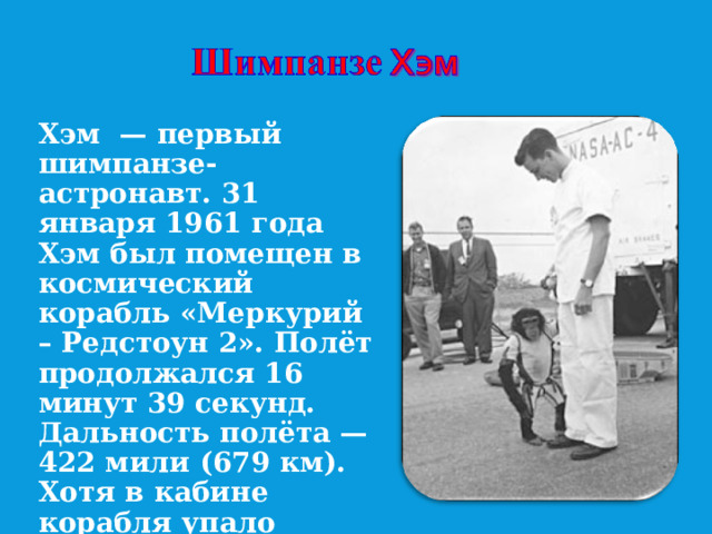 Хэм — первый шимпанзе-астронавт. 31 января 1961 года Хэм был помещен в космический корабль «Меркурий – Редстоун 2». Полёт продолжался 16 минут 39 секунд. Дальность полёта — 422 мили (679 км). Хотя в кабине корабля упало давление воздуха, Хэм не пострадал от этого, так как был одет в скафандр.  