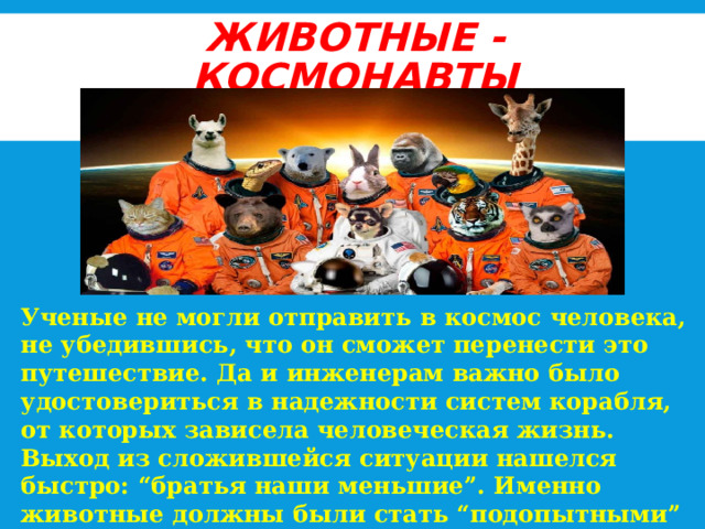ЖИВОТНЫЕ - КОСМОНАВТЫ Ученые не могли отправить в космос человека, не убедившись, что он сможет перенести это путешествие. Да и инженерам важно было удостовериться в надежности систем корабля, от которых зависела человеческая жизнь. Выход из сложившейся ситуации нашелся быстро: “братья наши меньшие”. Именно животные должны были стать “подопытными” и проложить дорогу к звездам. 