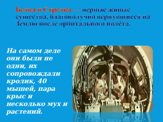 На самом деле они были не одни, их сопровождали кролик, 40 мышей, пара крыс и несколько мух и растений. 