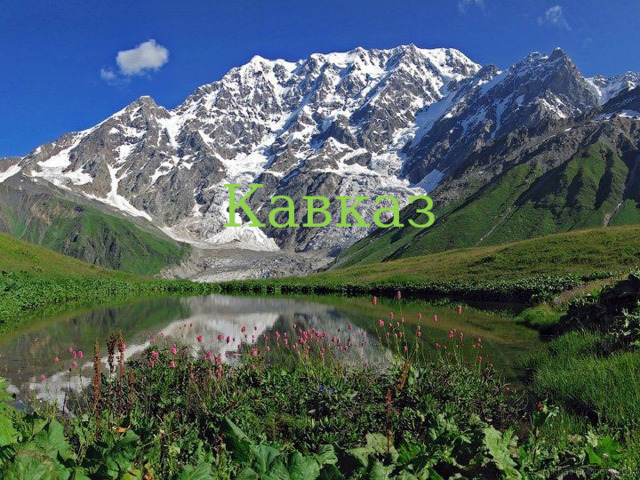 Кавказ 