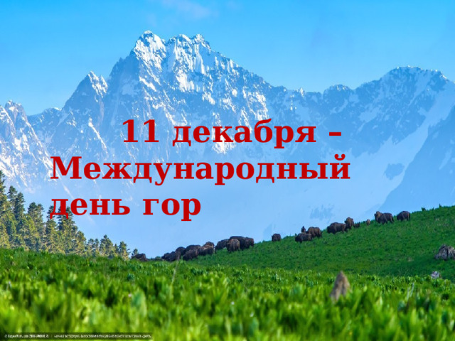 11 декабря – Международный день гор 